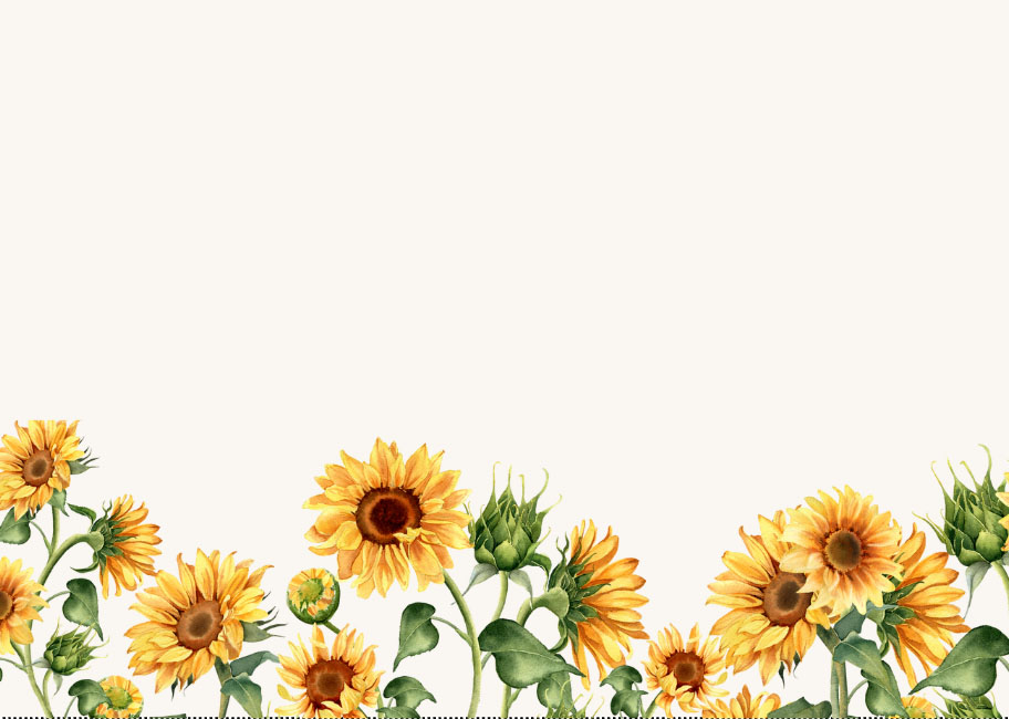 Tournesols